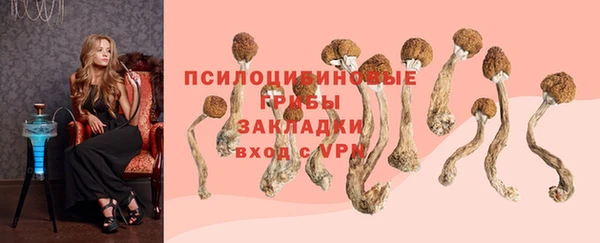 МДМА Бородино