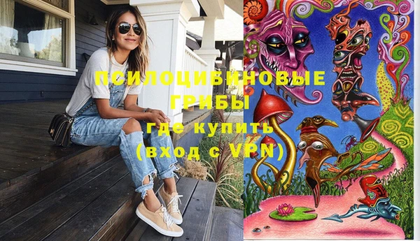 шишки Бугульма