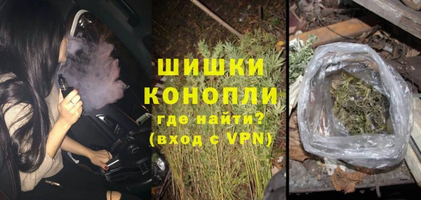 ГАЛЛЮЦИНОГЕННЫЕ ГРИБЫ Бронницы