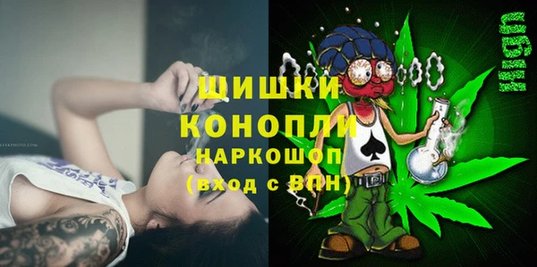 ПСИЛОЦИБИНОВЫЕ ГРИБЫ Артём