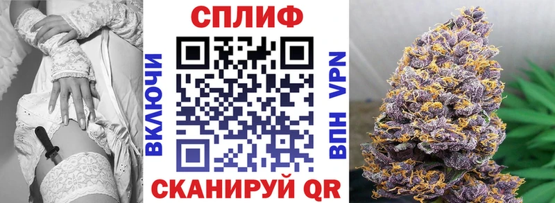 OMG ссылки Бородино Бошки Шишки тримм